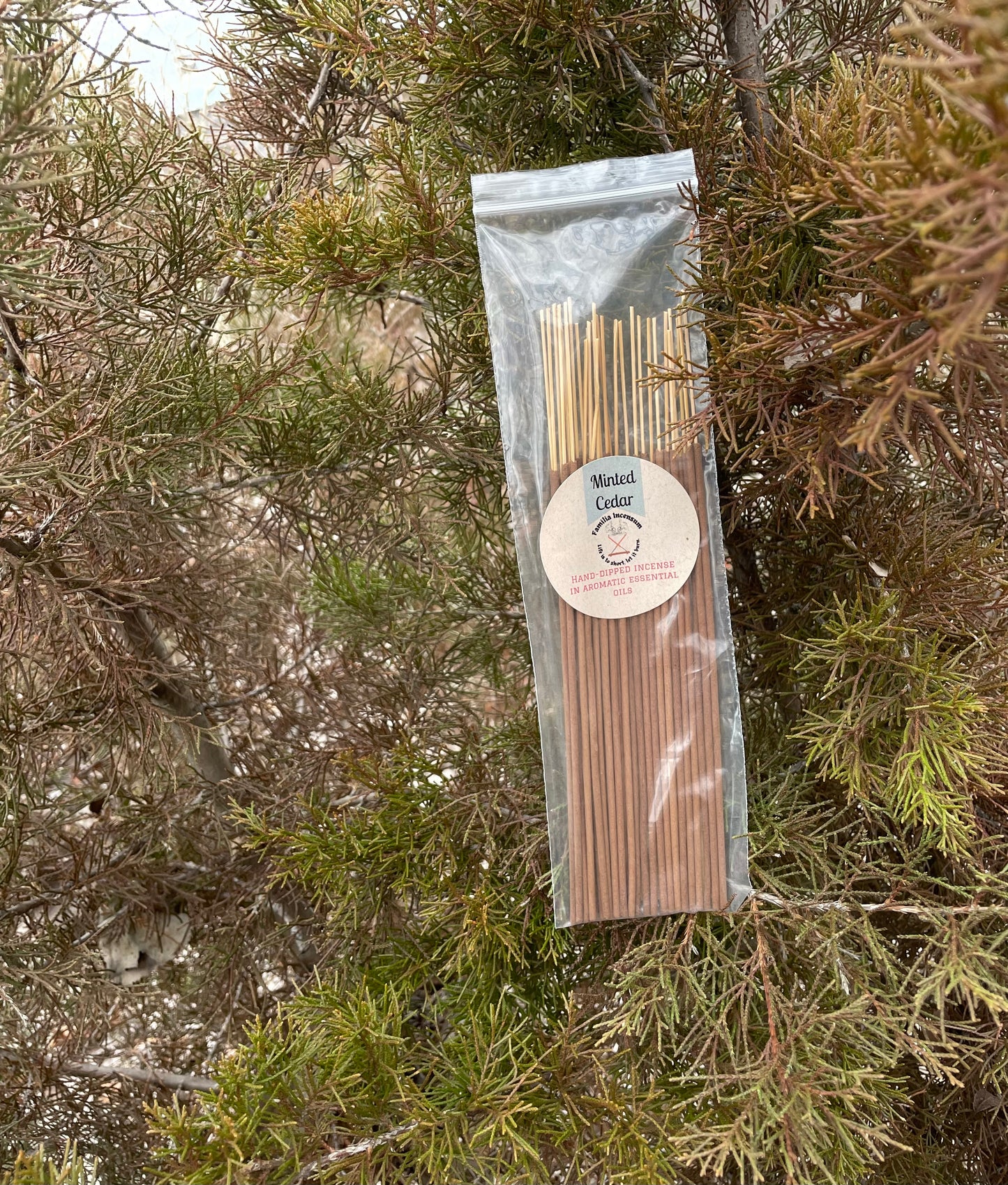 Minted Cedar Incense